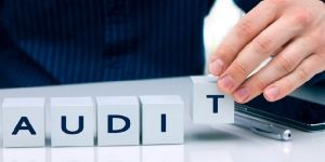 Auditing Services