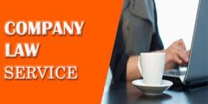 Company Law Consultancy Service