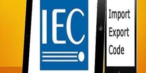Iec Registration Service