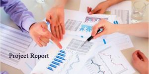 Project Report Service