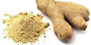 Dehydrated Ginger Powder