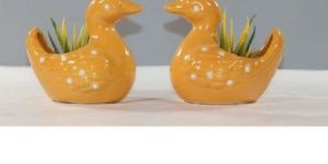 Birds Pot