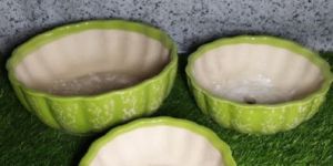 Round Kharbooza Bonsai