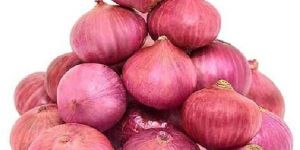 Pink Onion