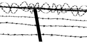 Galvanized Barbed Wire