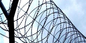 Reinforced Barbed Tape Wire