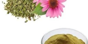 Echinacea Extract