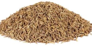 White Cumin Seeds