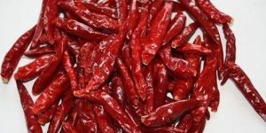 Red Chilli