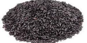 Black Rice