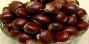 Chest Nuts