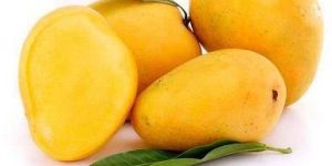 Banginapalli Mango