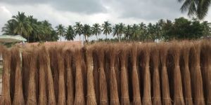 Coconut Broom