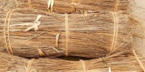 Coconut Broom Stick
