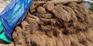 Stick Broom