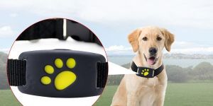 GPS Pet Tracker