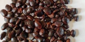Tamarind Seed