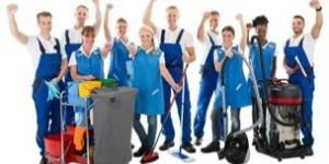 Domestic Manpower Services