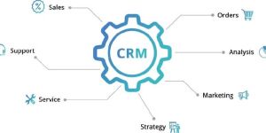 Crm Development Services