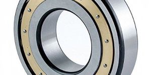 Fag Spherical Plain Bearing
