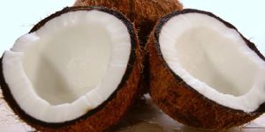 Coconut