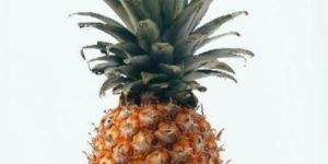 Fresh Pineapple