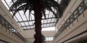 Artificial Date Palm Tree