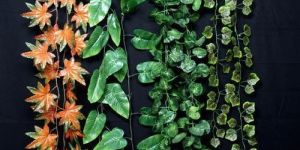 Creepers (Code-GHC-01)