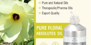Ambrette Seed Oil
