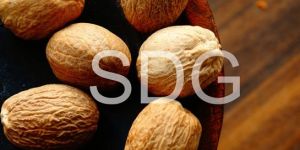 Nutmeg