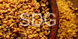 Fenugreek Seeds