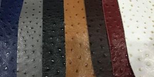 Ostrich Leather