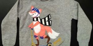 Boys Embroidered Sweatshirt