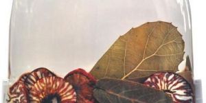 Acrylic Napkin Holder