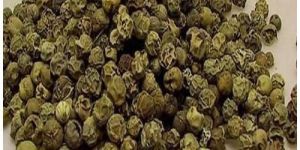 Dehydrated Green Pepper