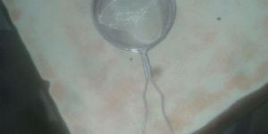 M S CLASSICS TEA STRAINER