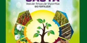 Biofertilizer