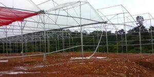 Floriculture Services