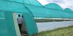 Green Tunnel Type Net House