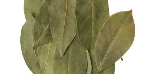 Bay Leaves