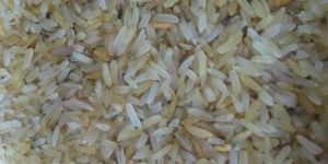 Waste Rice
