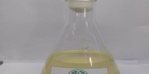 Rhizobium Biofertilizer