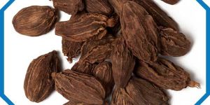 Black Cardamom