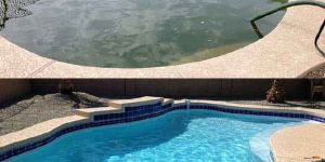 Swimming Pool Algaecide