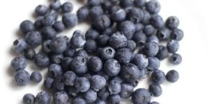Frozen Blueberries Pulp