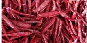 Good Quality Teja Stemless Dry Red Chilli