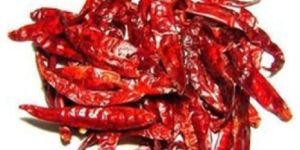 Teja Stem Cut Dry Red Chilli