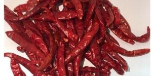 Teja Stemless Red Chilli - Wholesaler & Wholesale Dealers in India