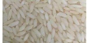 Top Quality Double Boil Sona Masoori Rice