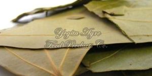 Bay Leaves